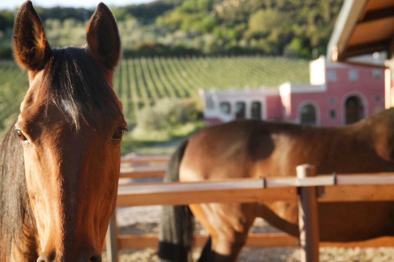 Tenuta Il Sassone - Wine&Food マッサ・マリッティマ エクステリア 写真