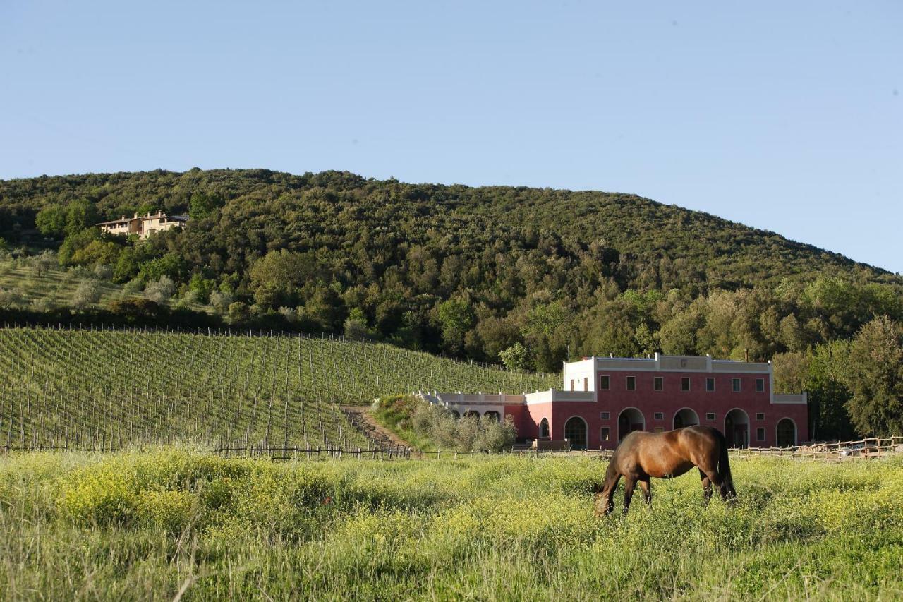 Tenuta Il Sassone - Wine&Food マッサ・マリッティマ エクステリア 写真